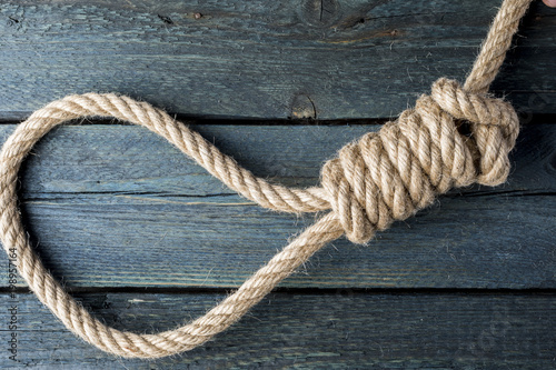 hangman's noose. Gallows knot. Rope node © filipobr