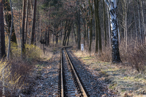 Schienen im Wald, Schmalspurschienen im Wald, feldbahn