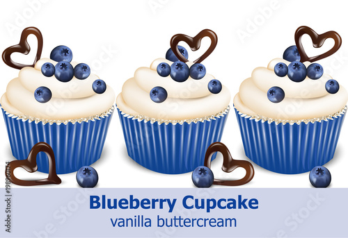Blueberry cupcakes Vector realistic. 3d detailed dessert illustrations