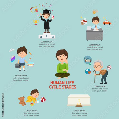 Human life cycle stages infographic,vector illustration.