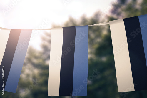 Estonia flag pennants photo