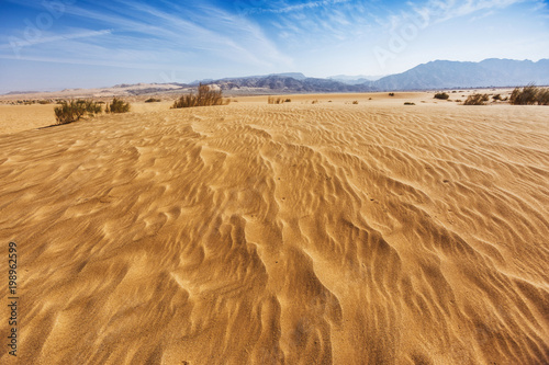 Jordan landscape. Sand Dune. Wadi Araba desert.