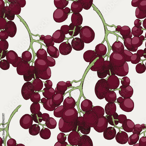 Seamless grapes background.Hand drawn illustration