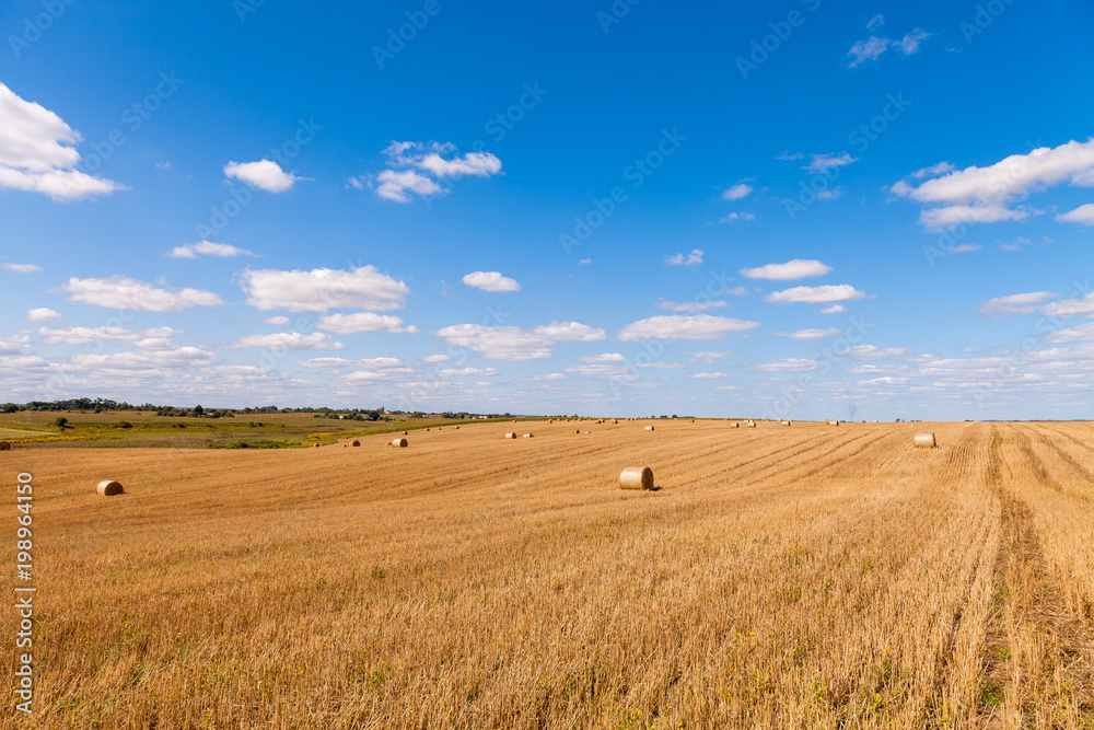 Wheat field after harvest with straw bales at sunset Wheat field after harvest with straw bales at sunset