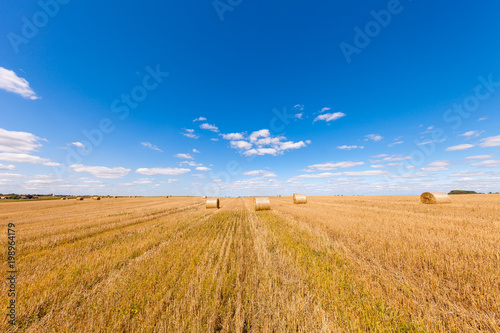 Wheat field after harvest with straw bales at sunset