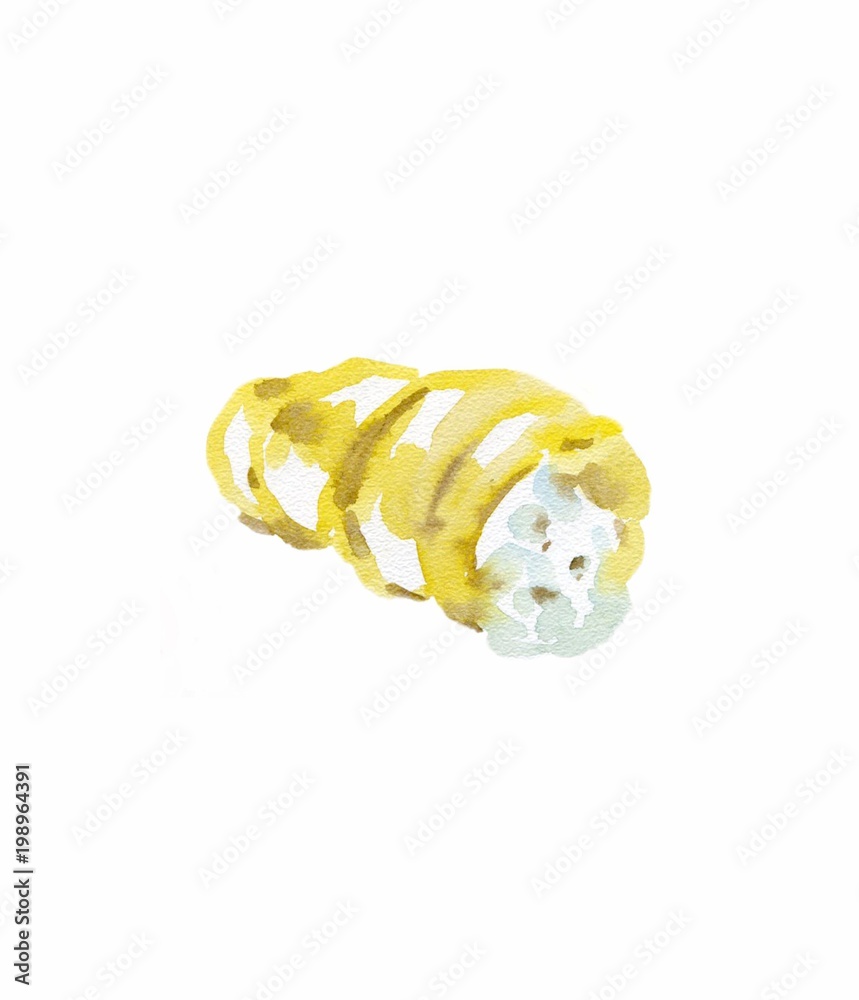 Sketch bakery watercolor hand drawn cream roll pastry. Sketch bakery watercolor hand drawn cream roll pastry.