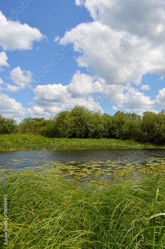 Summer day