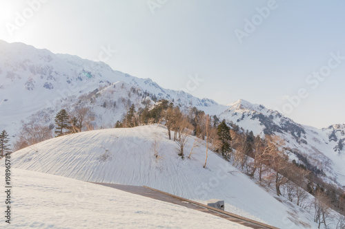 Tateyama Kurobe Alpine Route, the snow mountains wall with blue sky background in Toyama Prefecture, Japan. © Umarin