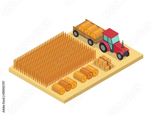 Isometric low poly vector farm elements background