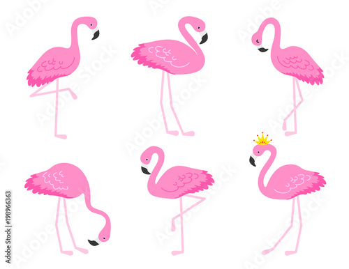 Flamingo or tropical birds illustration for party card. Summer exotic background. Vintage cute holiday set.