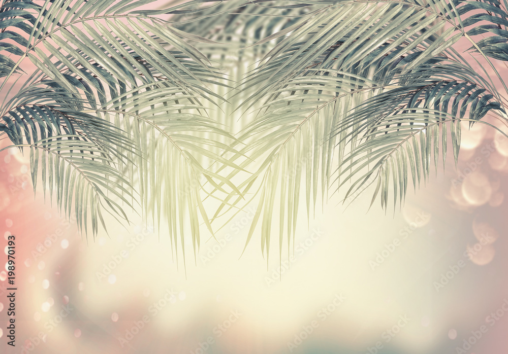 Fototapeta premium Creative summer tropical nature background with palm leaves , sunshine and bokeh
