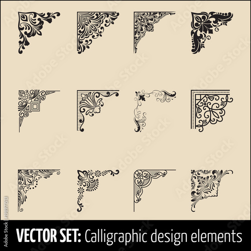 Vector set of calligraphic and page decoration corner design elements. Elegant elements for your design. Modern handwritten calligraphy elements. Vector Ink illustration