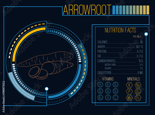 Arrowroot. Nutrition facts. Vitamins and minerals. Futuristic  Interface. HUD infographic elements. Flat design, no gradient. Vector illustration