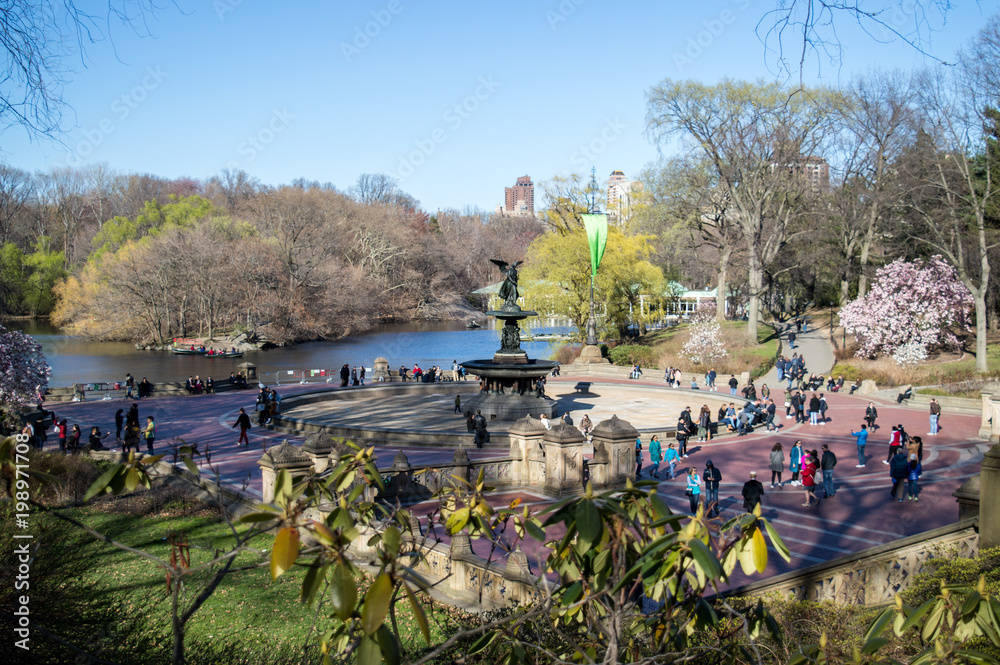 941 fotos de stock e banco de imagens de Bethesda Terrace Central Park -  Getty Images