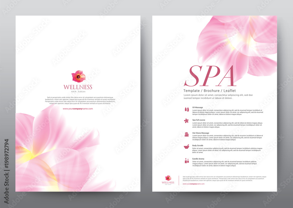 Fototapeta Layout Template elements, Presentation flat vector illustration design, For spa hotel resort cosmetics brochure poster flyer leaflet