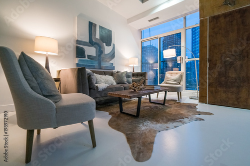 Photography Furnished living room