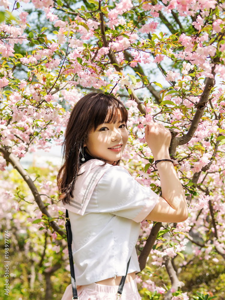 Outdoor portrait of beautiful young Chinese girl in school uniform japanese style smiling among blossom cherry tree brunch in spring garden, beauty, summer, emotion, expression and people concept. Outdoor portrait of beautiful young Chinese girl in school uniform japanese style smiling among blossom cherry tree brunch in spring garden, beauty, summer, emotion, expression and people concept.