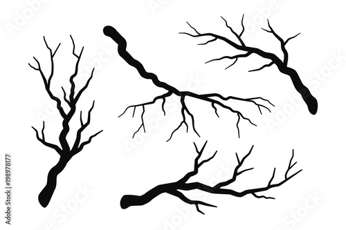 Tree branch without leaves silhouettes set  isolated on white, bare branches vector illustrations