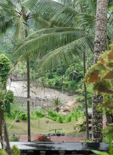 Bali Jungle Swing on Green Background