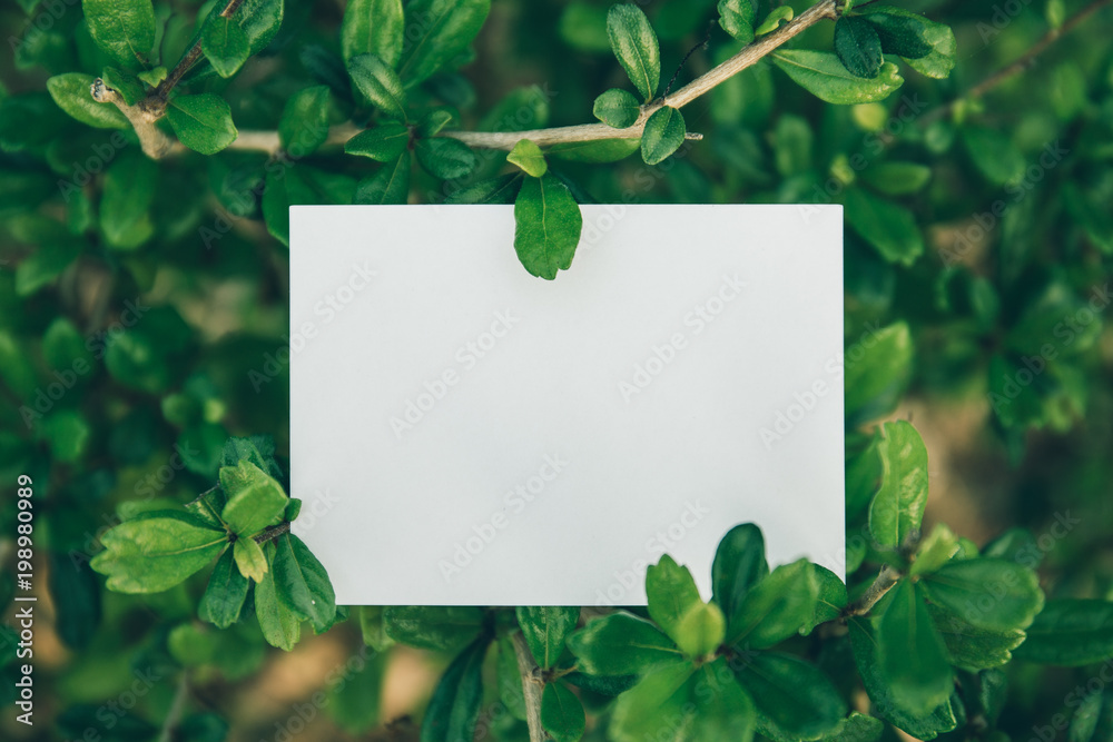 Blank white rectangular paper on green leaves with branch in vintage tone