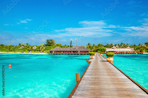 Exotic bungalow on the background of a sandy beach with tall palm trees, Maldives