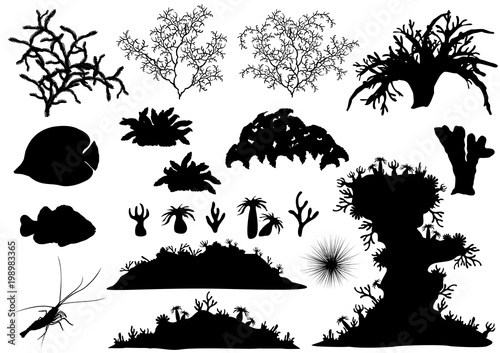 Corals and underwater fauna - various tropical fish, sponges, shrimp and urchin. Set of vector silhouettes.
