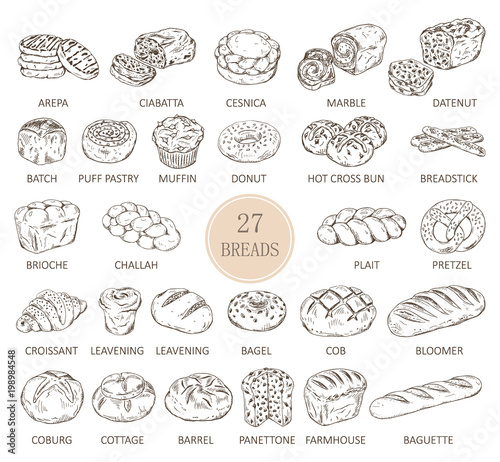 Isolated sketches of bread types photo