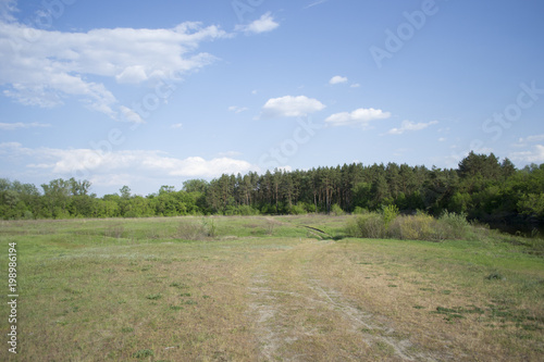Podobny obraz