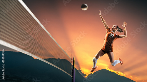 Professional female volleyb...