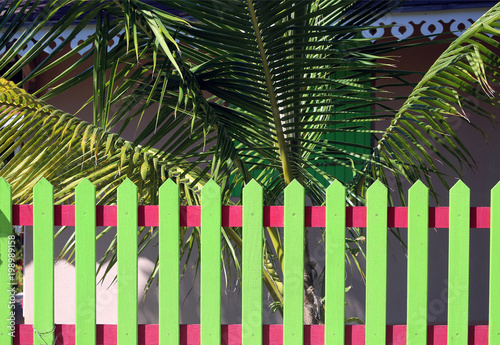 green picket fence with green background, Guadeloupe, Lesser Antillies, Caribbean photo
