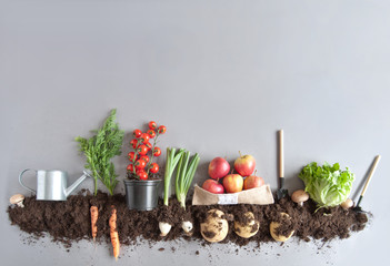 Papier peint photo Légumes Jardin potager bio fruits légumes  © Pixelbliss