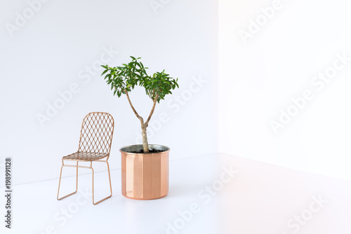 Contemporary netty metal chair and Myrtle plant in a copper pot. photo