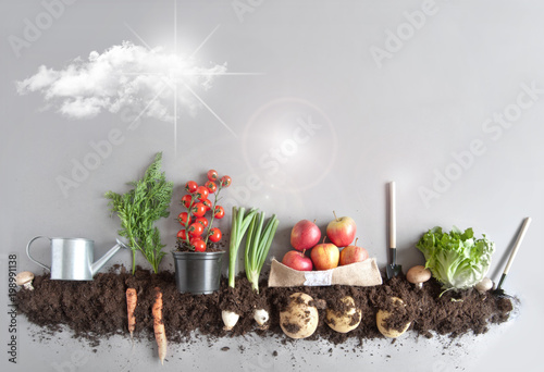 Fotografie Kitchen garden concept