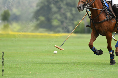 polo horse sport player hit a polo ball with a mallet in match.