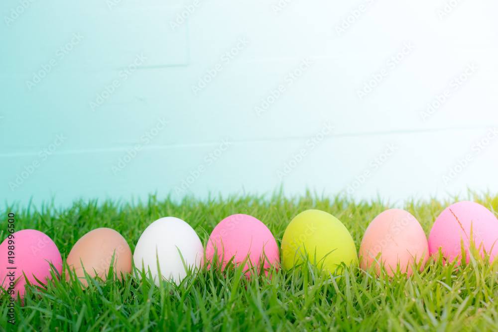 Easter concept. Green grass, easter eggs and web banner background on a sunny day.