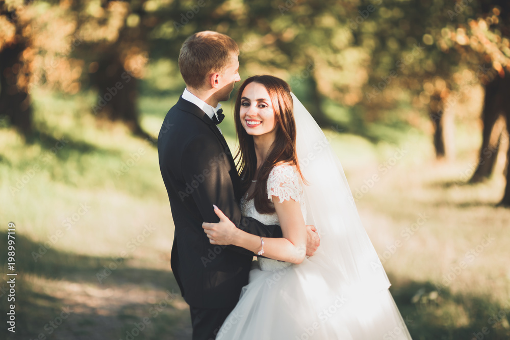 Fototapeta premium Beautiful romantic wedding couple of newlyweds hugging in park on sunset