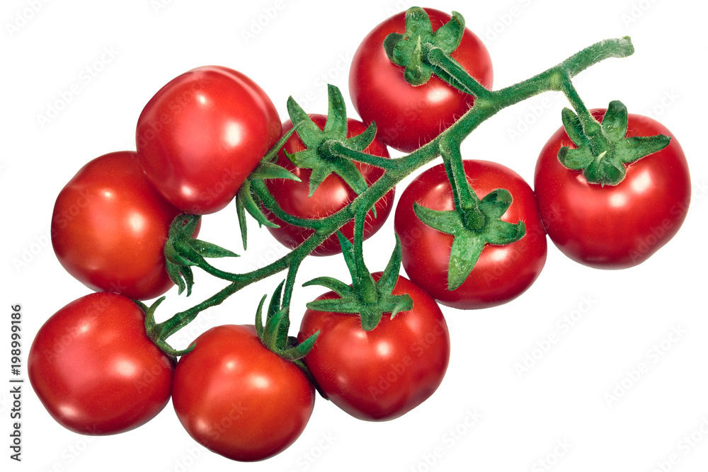 Cluster of tomatoes on the vine tov, top