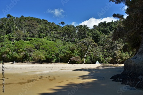 Lonely tent in the middle of abandoned beach with jungle in background as symbol of loneliness