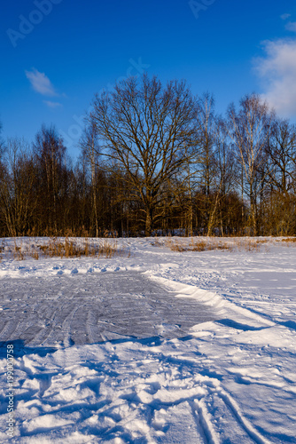 footpath in snow over frozen lake in countryside