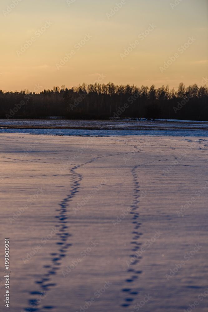 footpath in snow over frozen lake in countryside footpath in snow over frozen lake in countryside