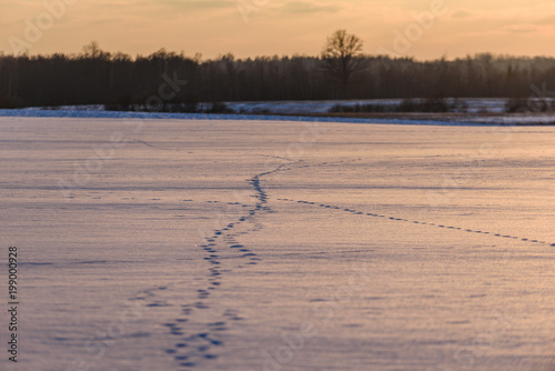footpath in snow over frozen lake in countryside © Martins Vanags