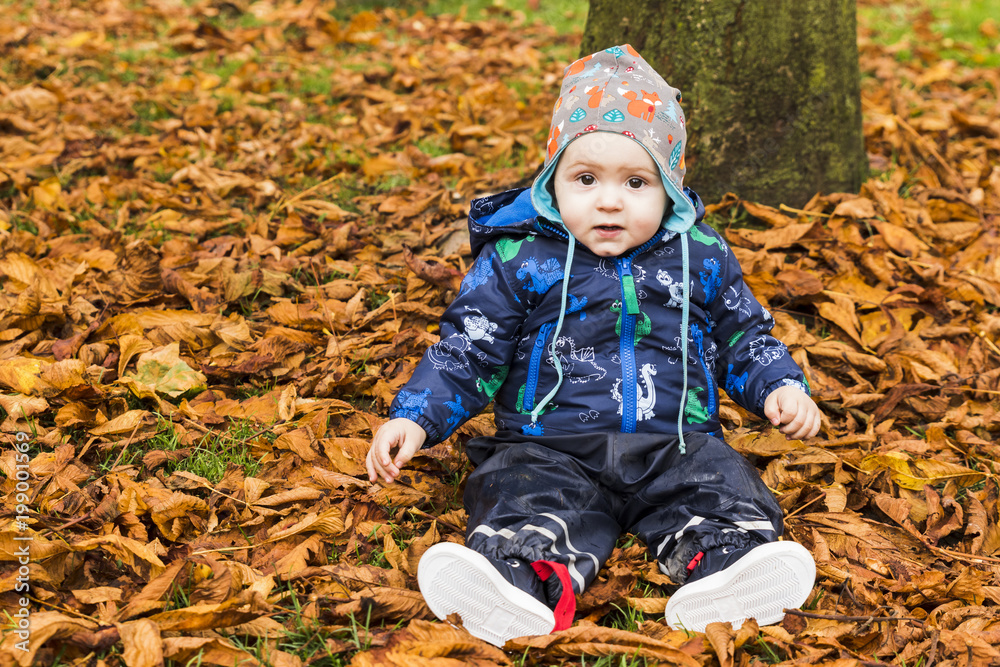 baby crawling through the autumn leaves in the forest baby crawling through the autumn leaves in the forest