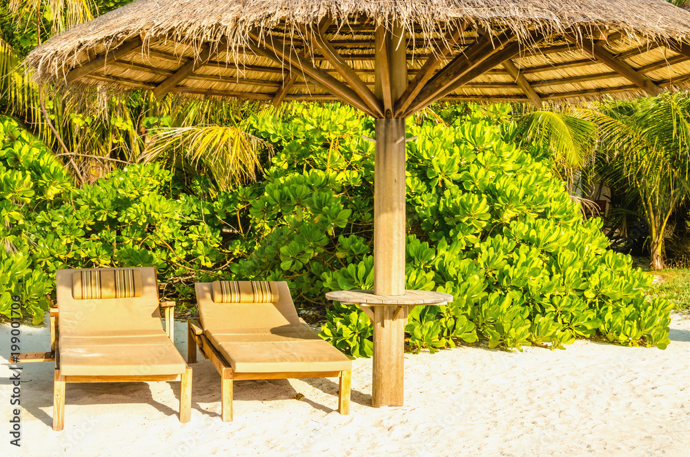 Wooden deck chairs under a palm tree umbrella on a sandy exotic beach with tall palm trees