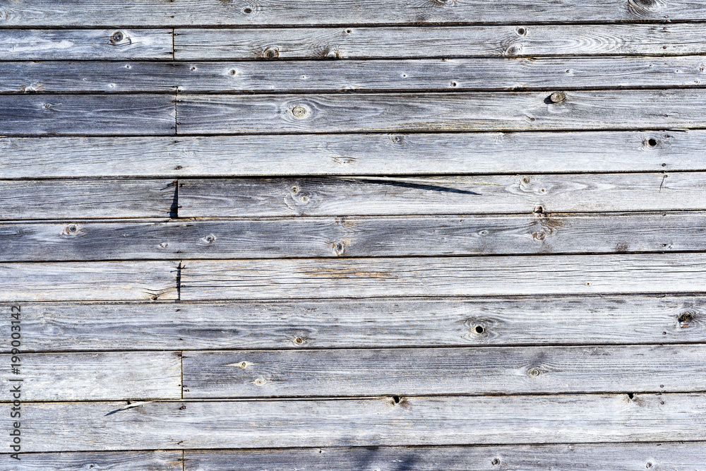 Obraz premium old tree texture