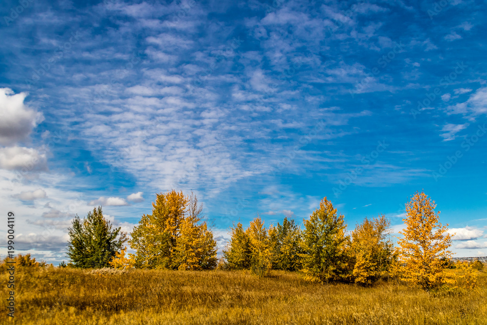 Fall in all it's colourful glory. Calgary, Alberta, Canada Fall in all it's colourful glory. Calgary, Alberta, Canada