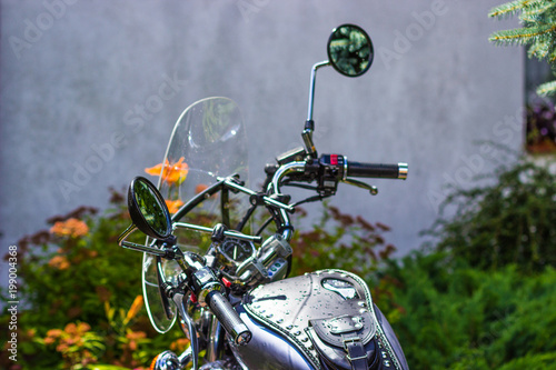 Yamaha Virago motorcycle in garden. photo
