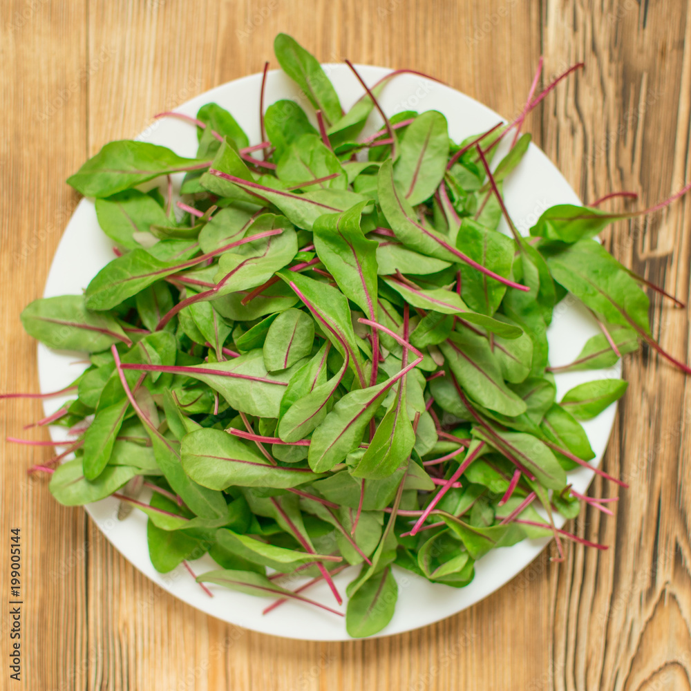 Mangold salad. Leaves of fresh lettuce on a plate on a wooden background. Mangold salad. Leaves of fresh lettuce on a plate on a wooden background.