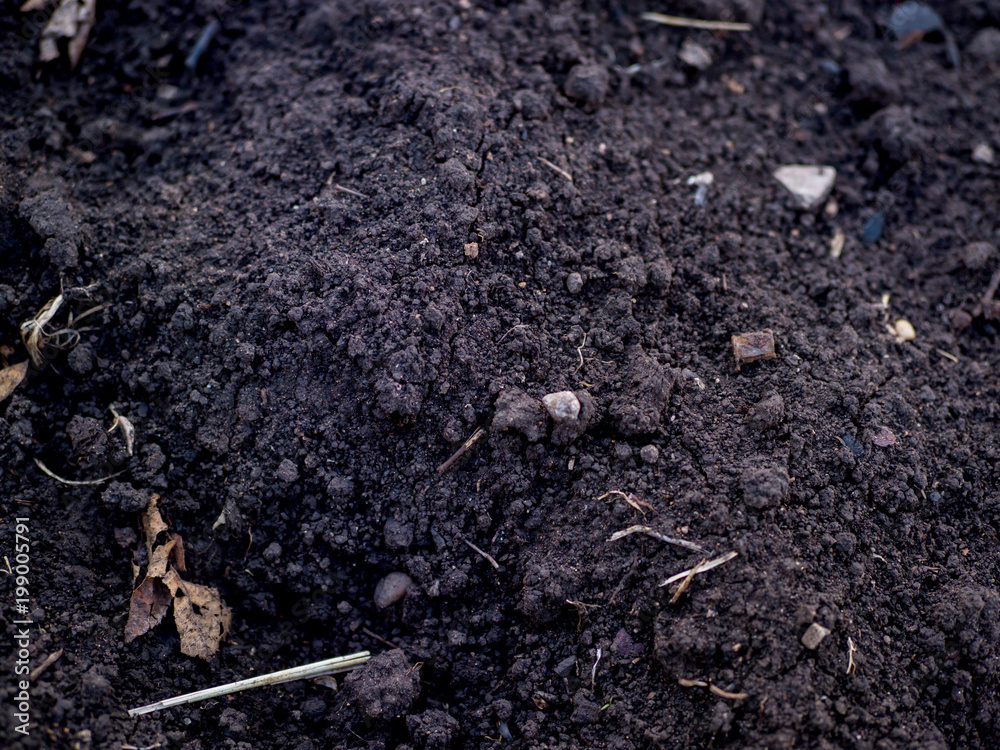 Fertile soil with stones and debris close up and space for text Fertile soil with stones and debris close up and space for text