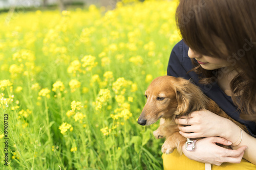 女性 ペット 散歩　芝生 花畑