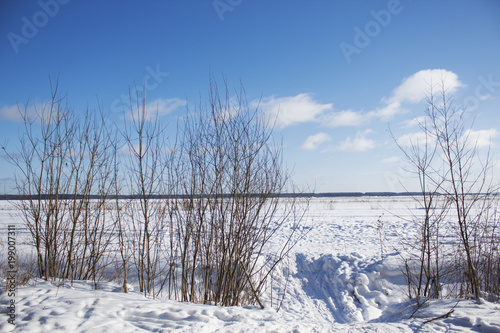 winter in the field